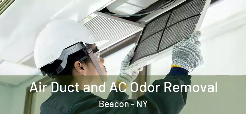  Air Duct and AC Odor Removal Beacon - NY