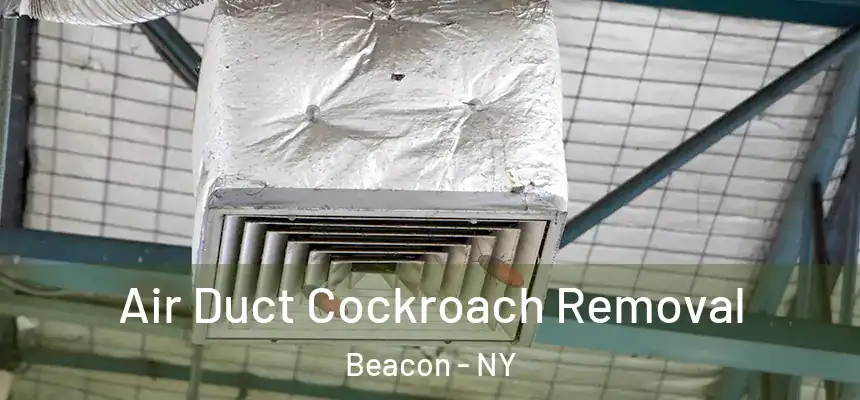  Air Duct Cockroach Removal Beacon - NY