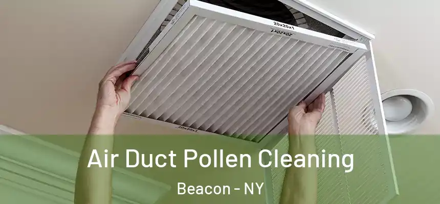  Air Duct Pollen Cleaning Beacon - NY