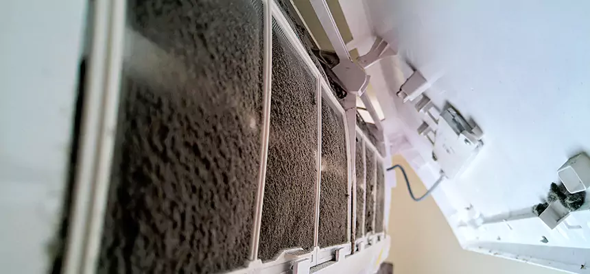 Preventive Air Duct Bacteria Removal in Beacon