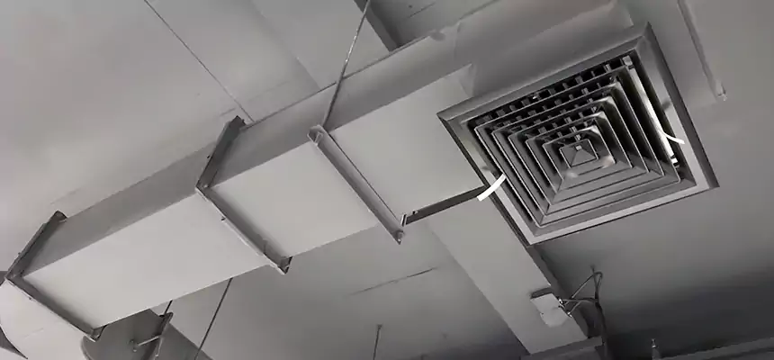 Restorative Allergy Relief Vent Cleaning – Coil, Blower & Housing Detail in Beacon