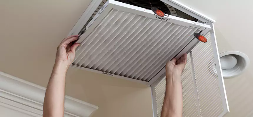 Our Insect Removal from Air Ducts Services in Beacon, NY