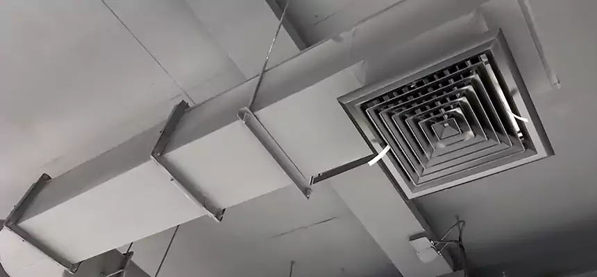 Our Pest Removal From Ducts Services in Beacon, NY