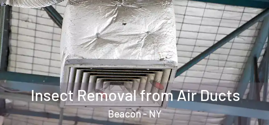  Insect Removal from Air Ducts Beacon - NY
