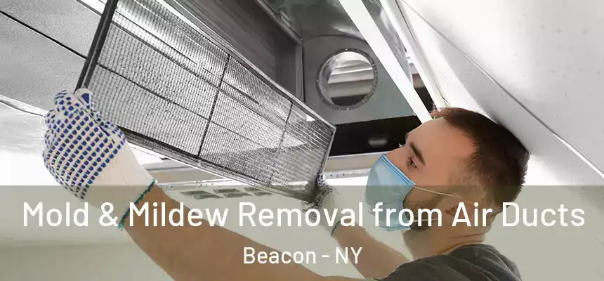  Mold & Mildew Removal from Air Ducts Beacon - NY