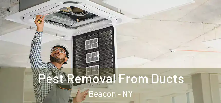  Pest Removal From Ducts Beacon - NY