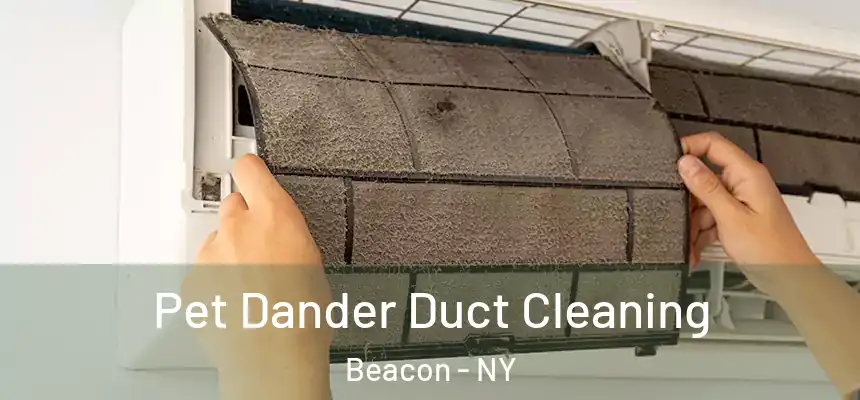  Pet Dander Duct Cleaning Beacon - NY