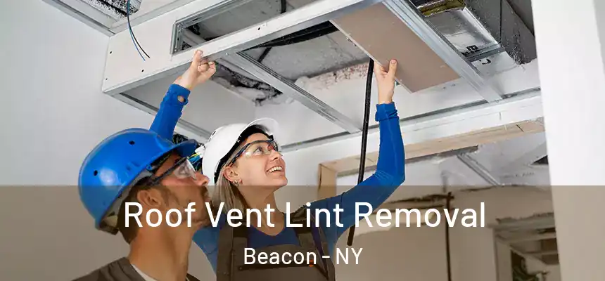  Roof Vent Lint Removal Beacon - NY