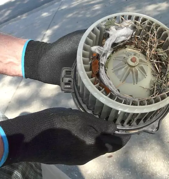 About Air Duct Mice Removal in Beacon, NY