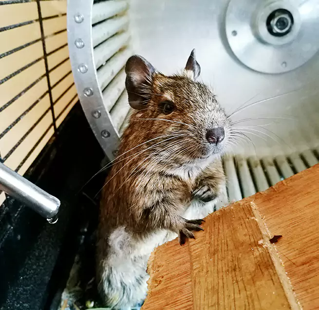 Why Homeowners & Businesses Trust Us Beacon, NY?